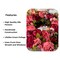 Zoey Large Burgundy Red Peachy Pink Faux Peony Flower Wreath 23" All Season Indoor Outdoor Decor Fall Autumn
